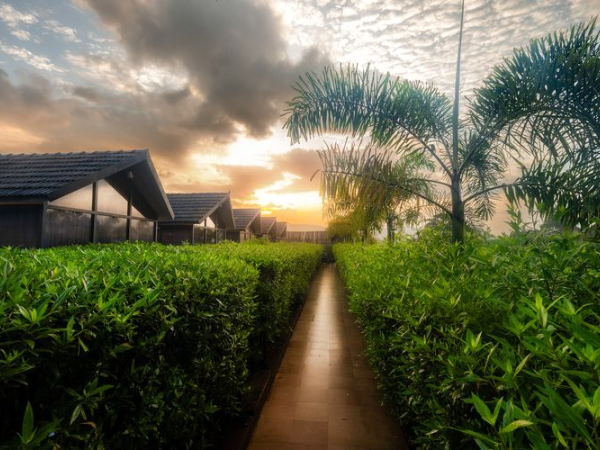 Best Resorts Near Mumbai